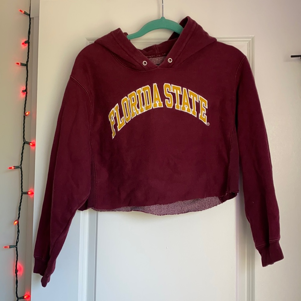 Florida State cropped hoodie